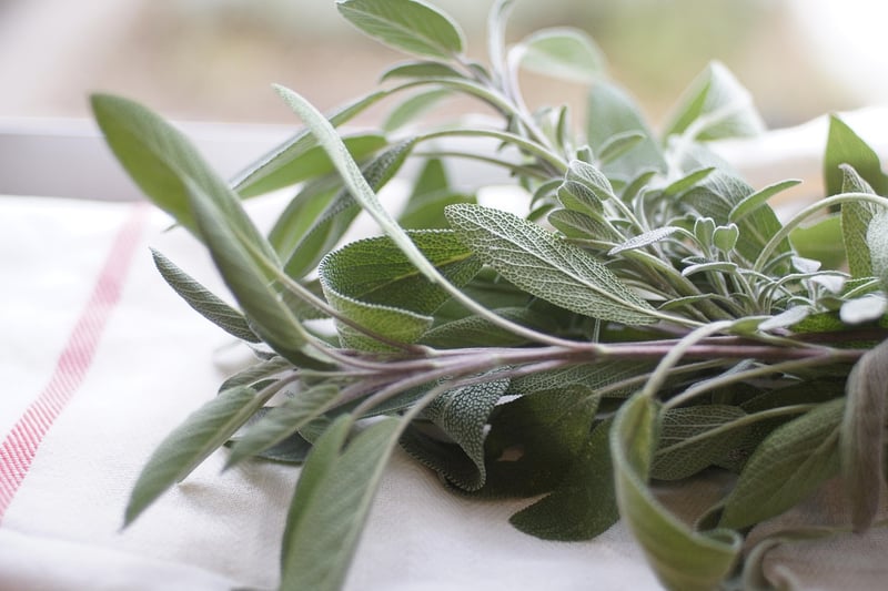 Herbs
