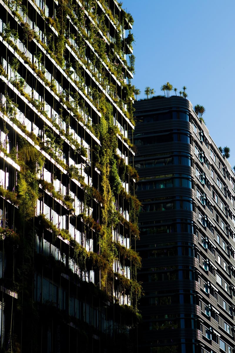Urban Oasis